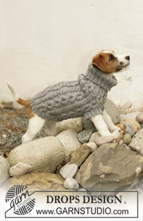 toewijzen Materialisme Ziek persoon Leuke truien breien voor de hond - Ouderwets Breien