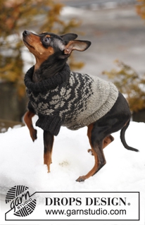 Leuke truien breien de hond - Ouderwets